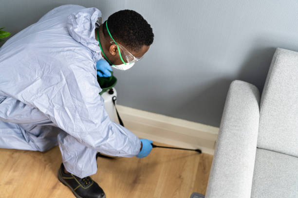 Best Commercial Pest Control  in Rogersville, AL